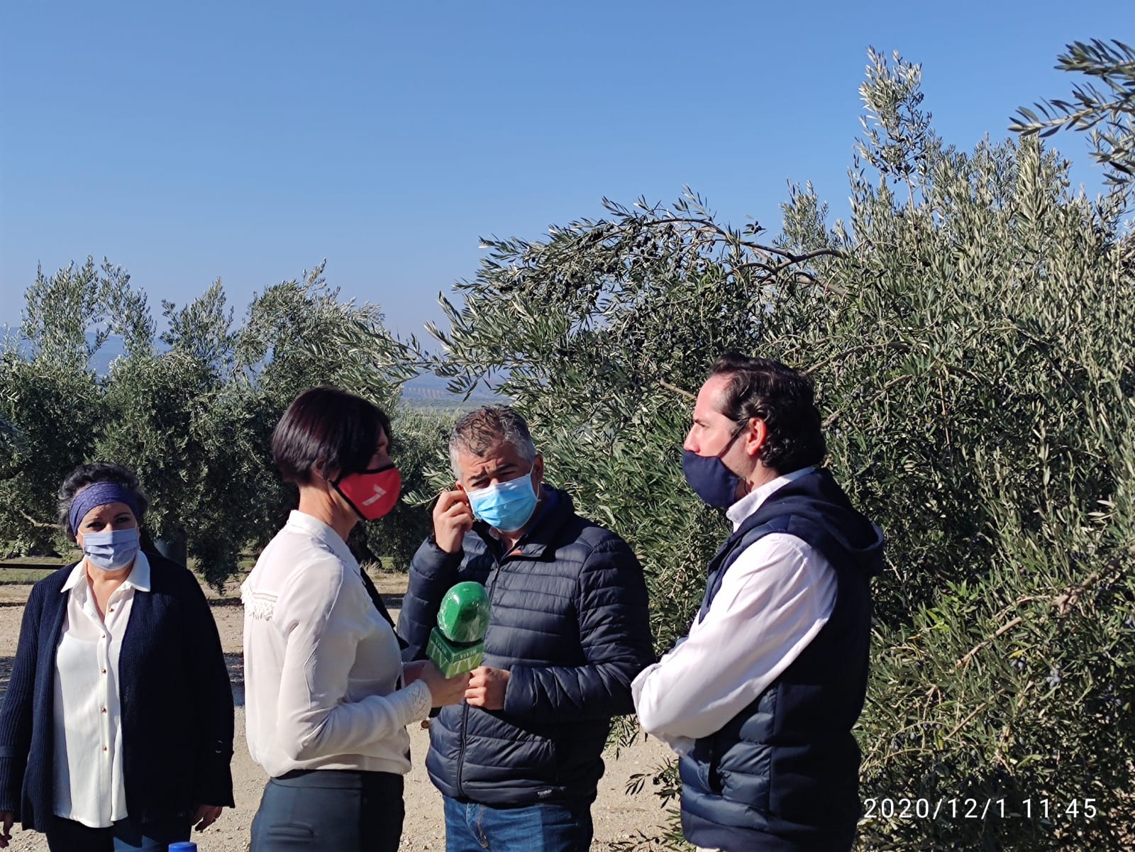 Cortijo El Madroño en las Actividades de la Fiesta de la Aceituna