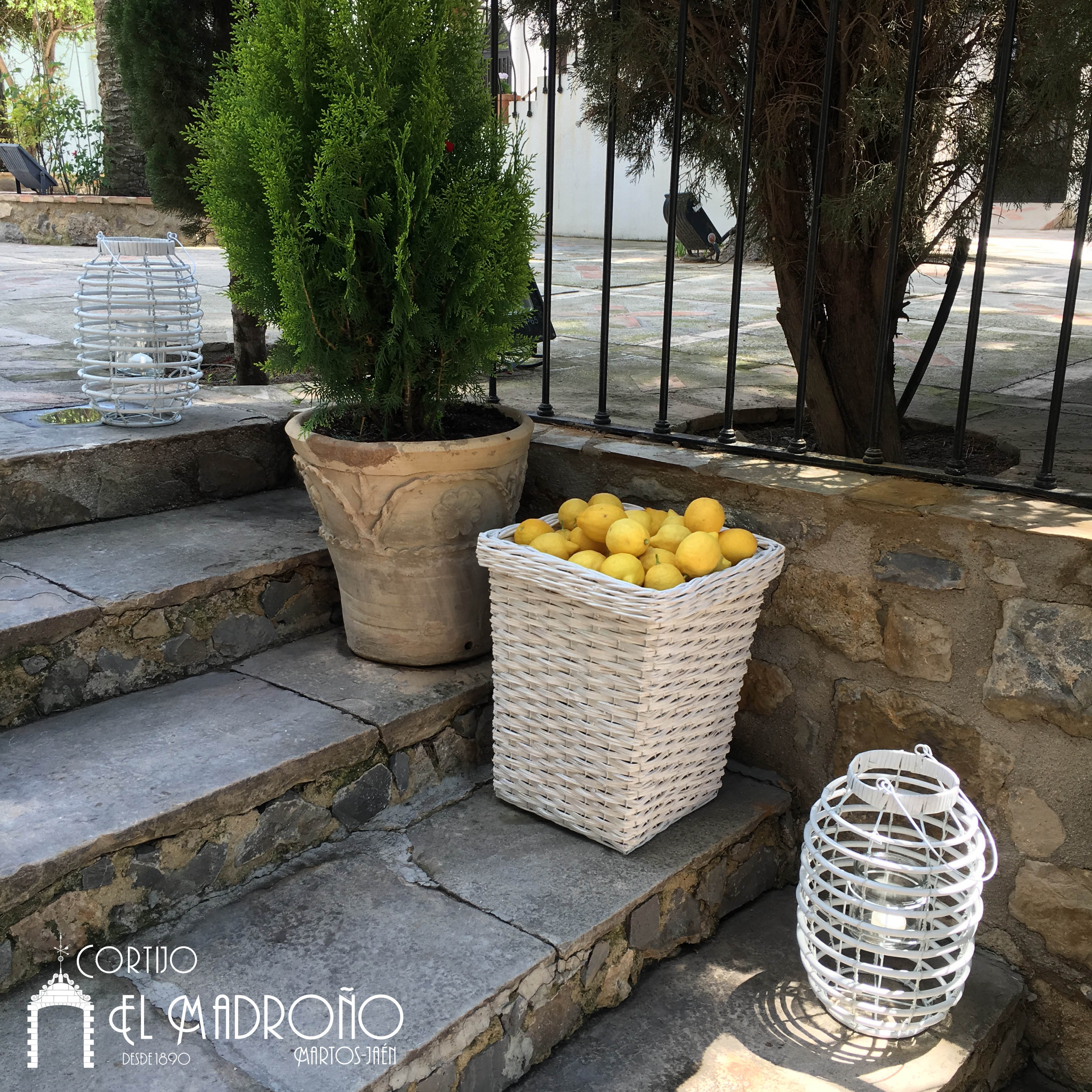 DECORACIÓN | Cestos con limones recién cogidos.