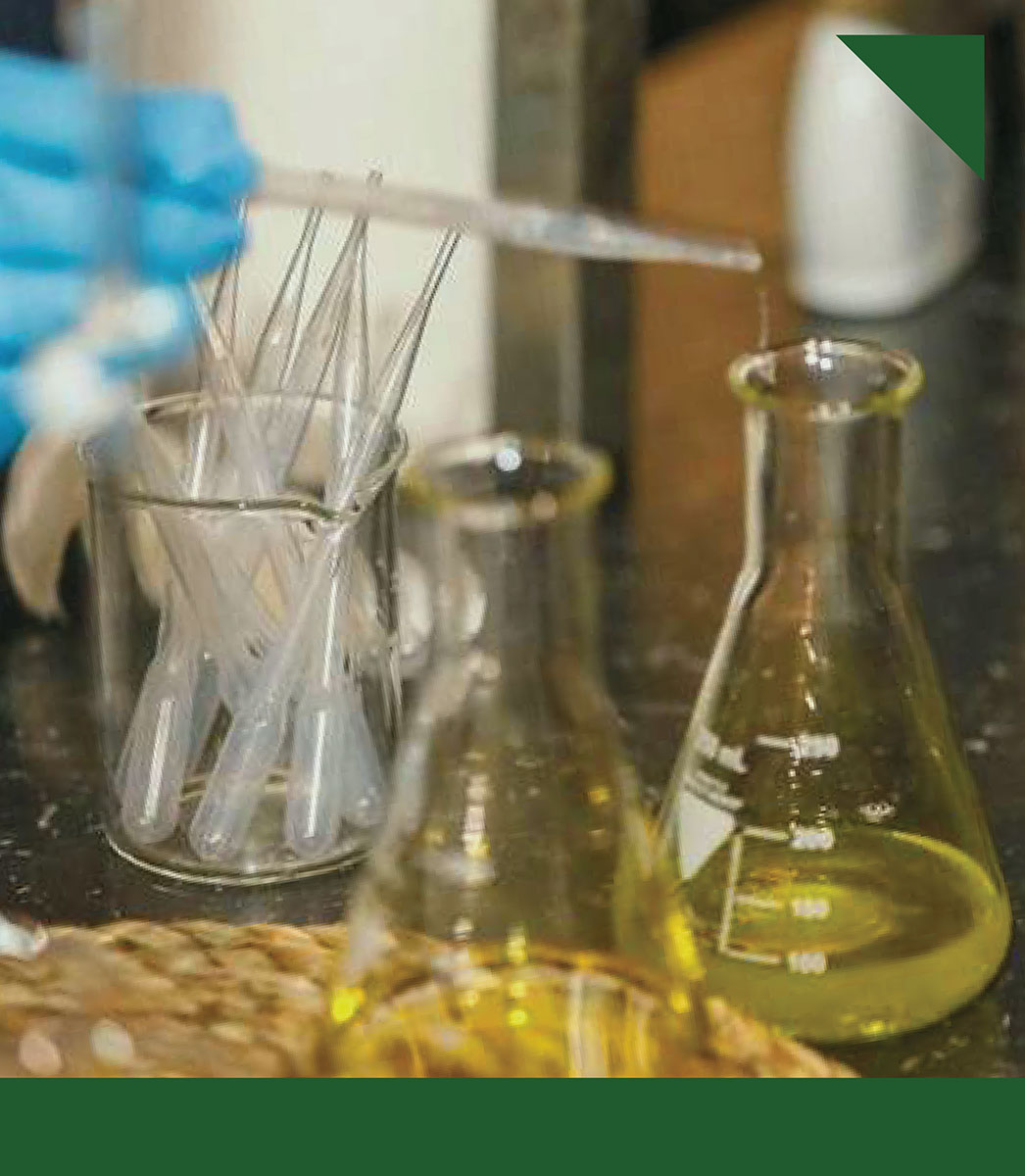 3. Control de Calidad