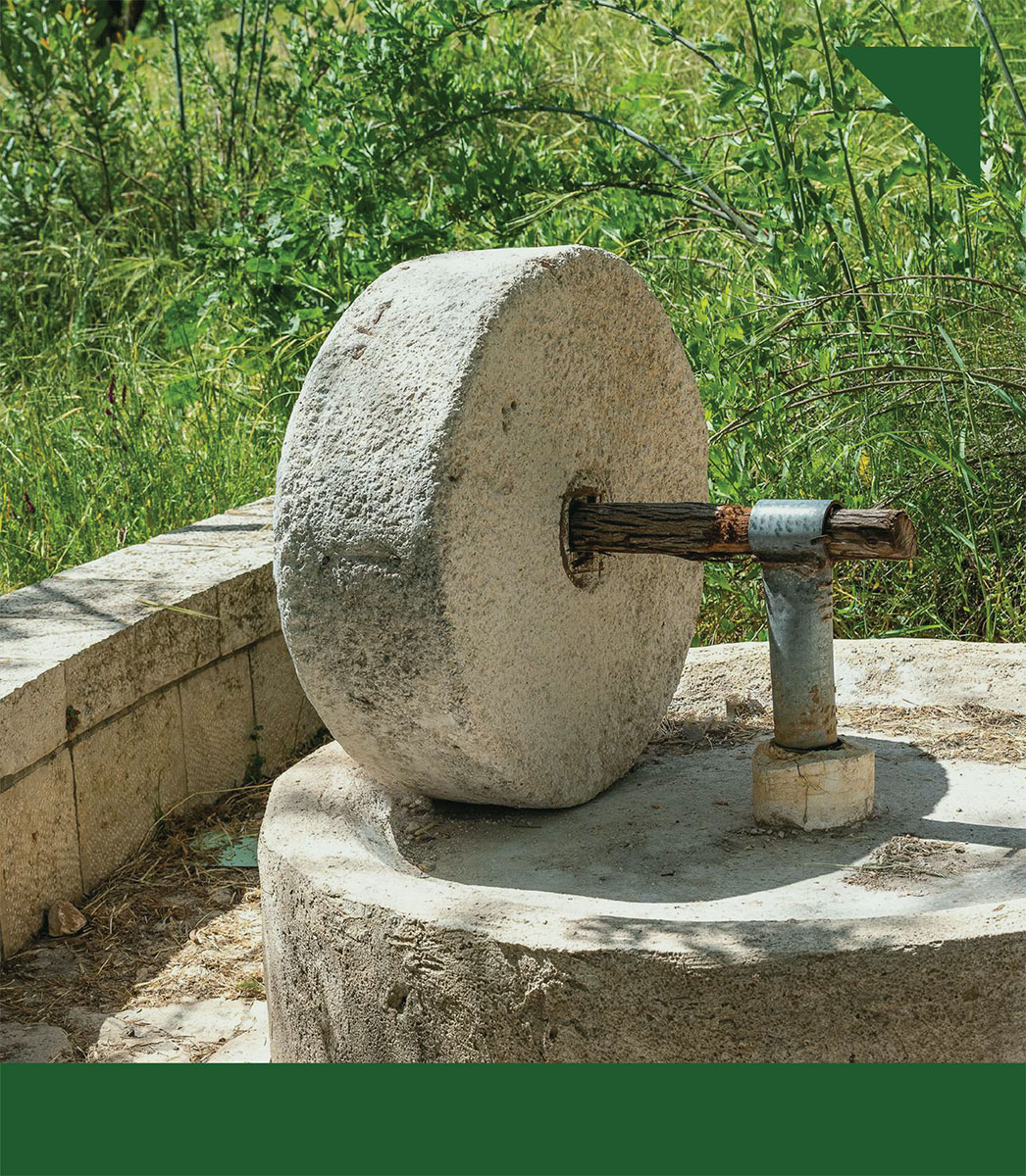 1.Procesos de Almazara